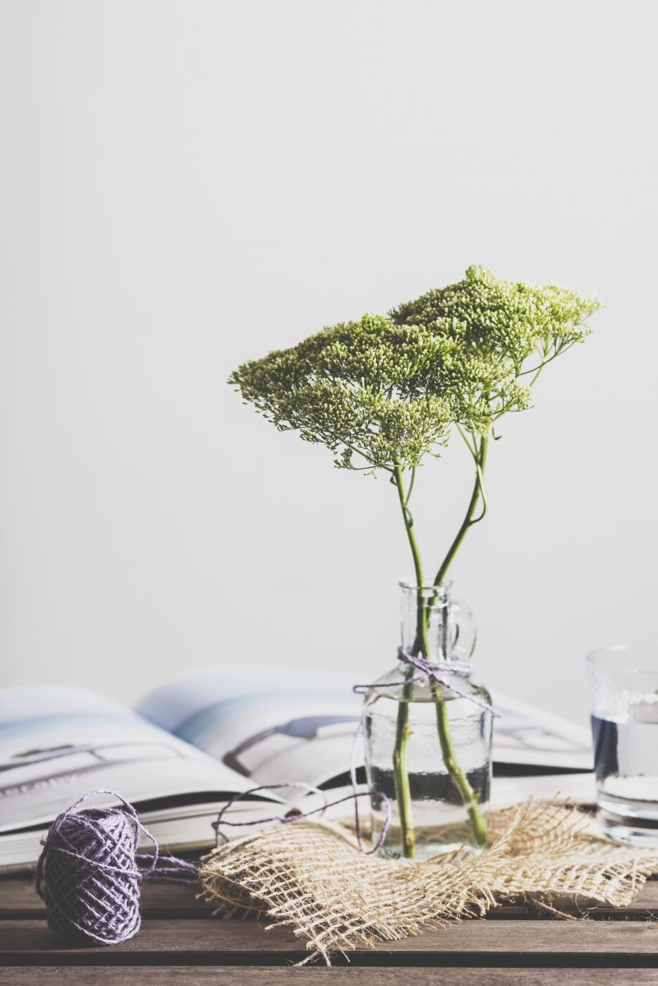 Glazen vaas met groene takken op een tafel met een open boek